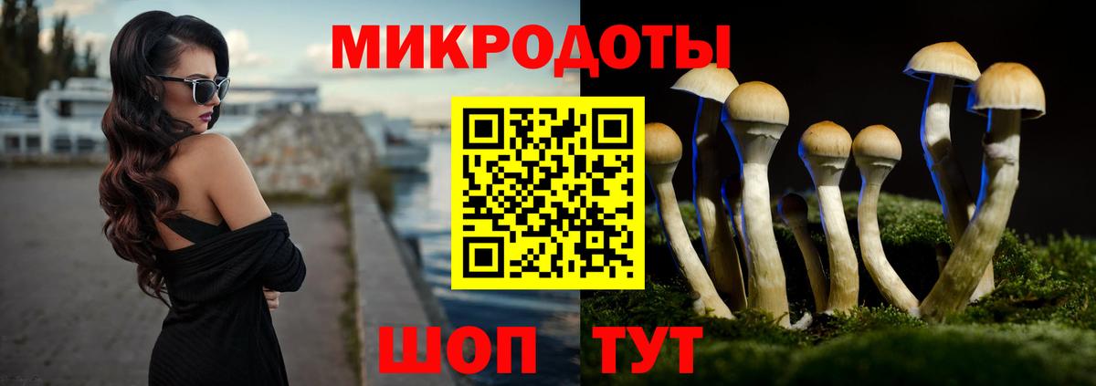 Сергиев Посад  Псилоцибиновые грибы мухоморы  Вход с VPN 